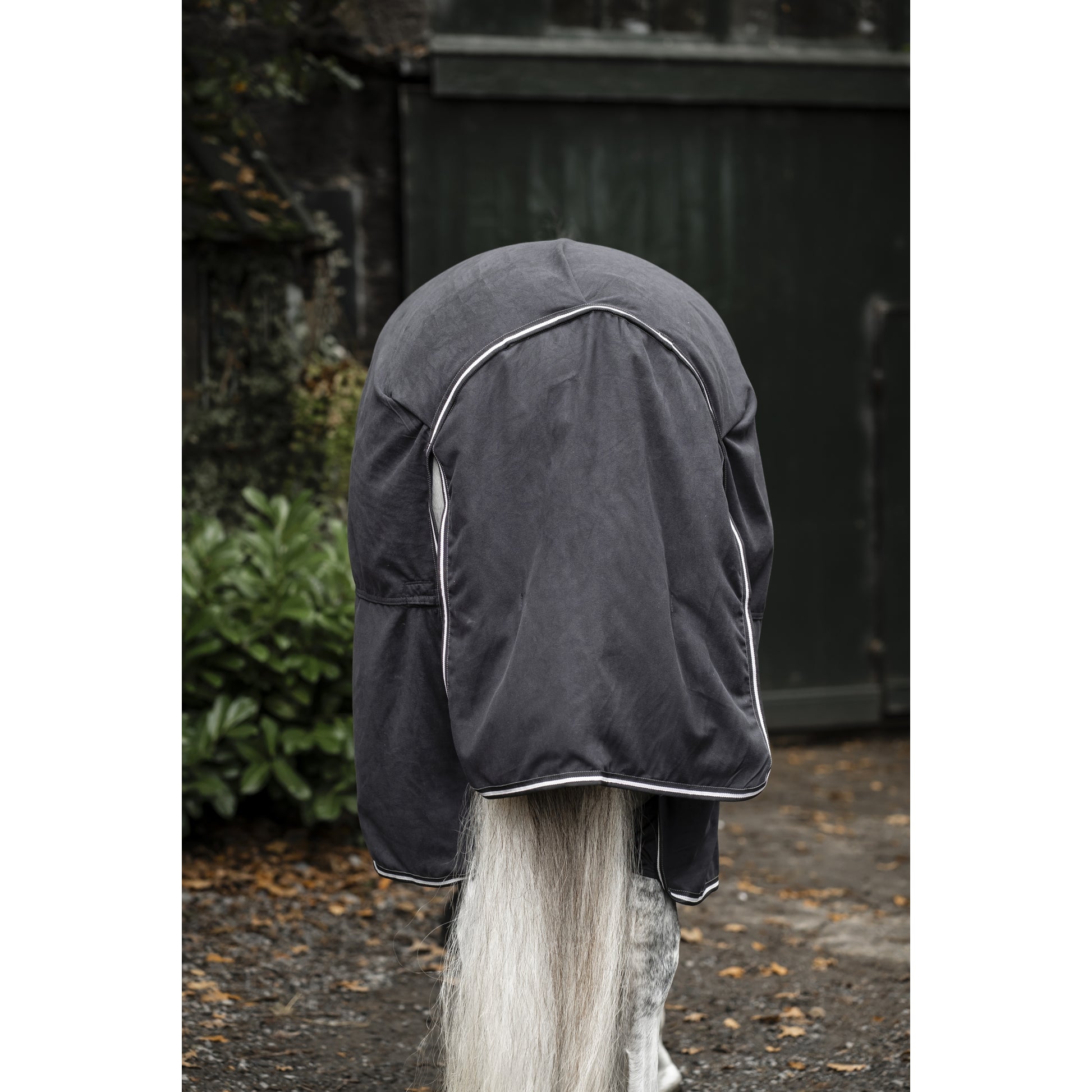 Horseware Show Ready Blanket