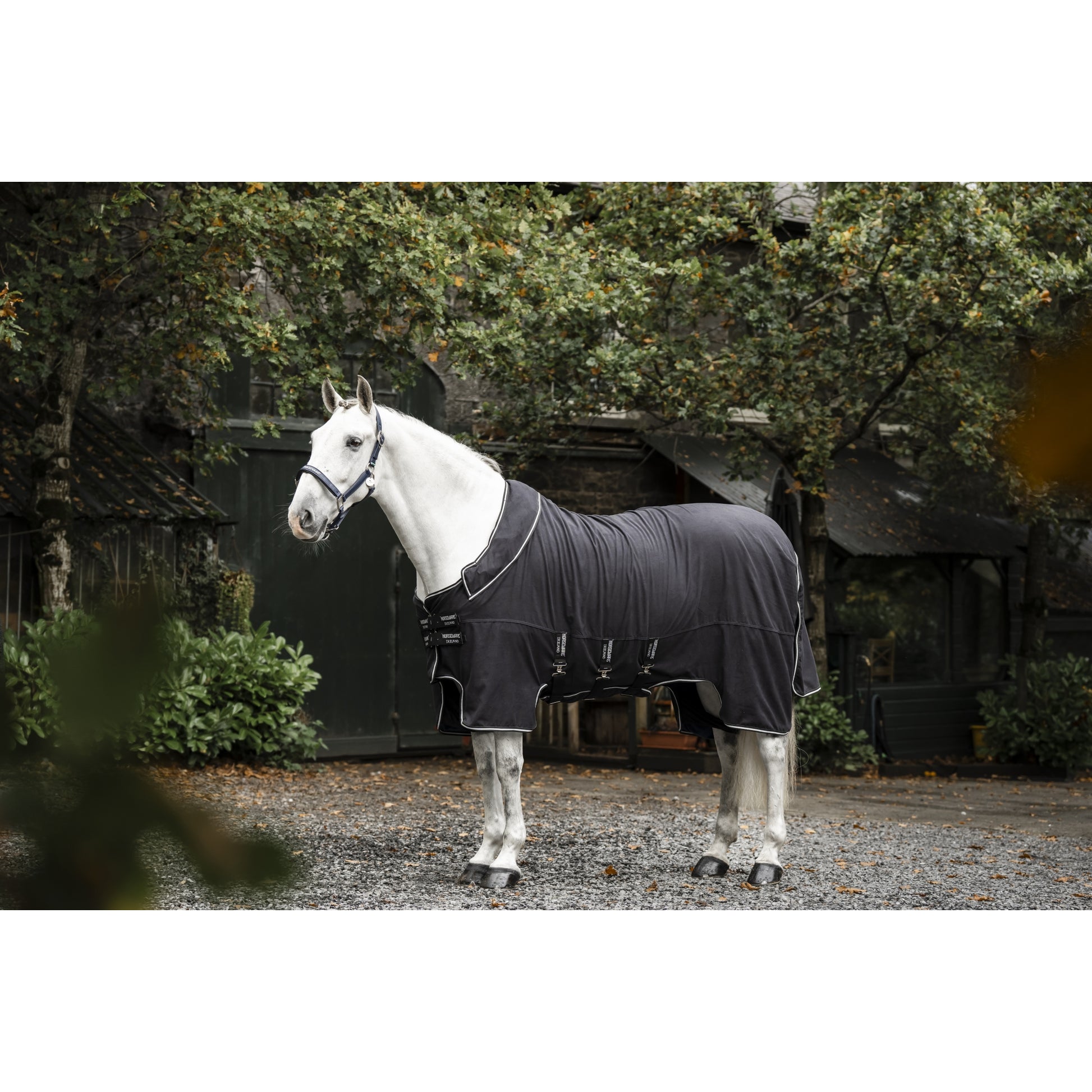Horseware Show Ready Blanket