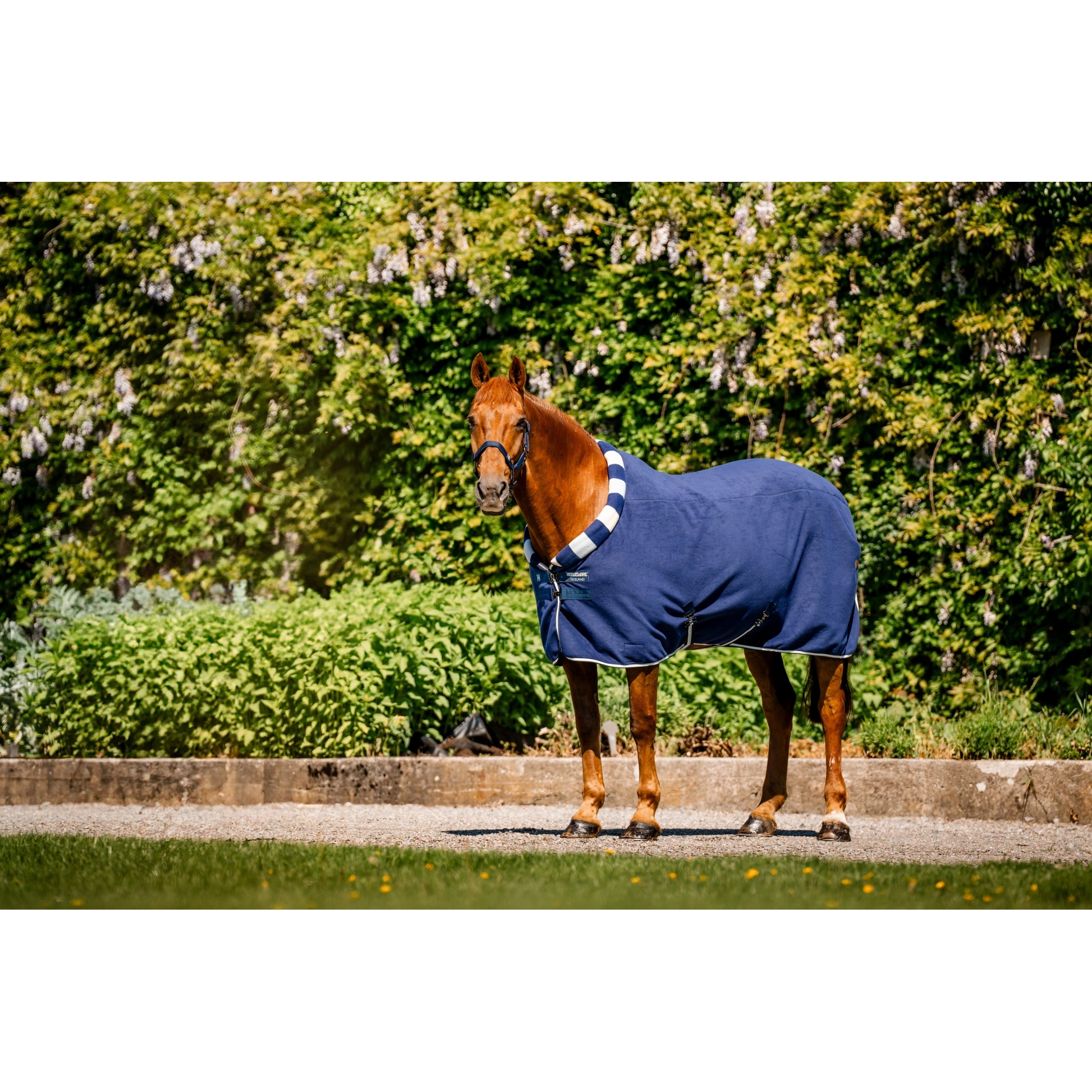 Horseware Newmarket Cozy Fleece Cooler
