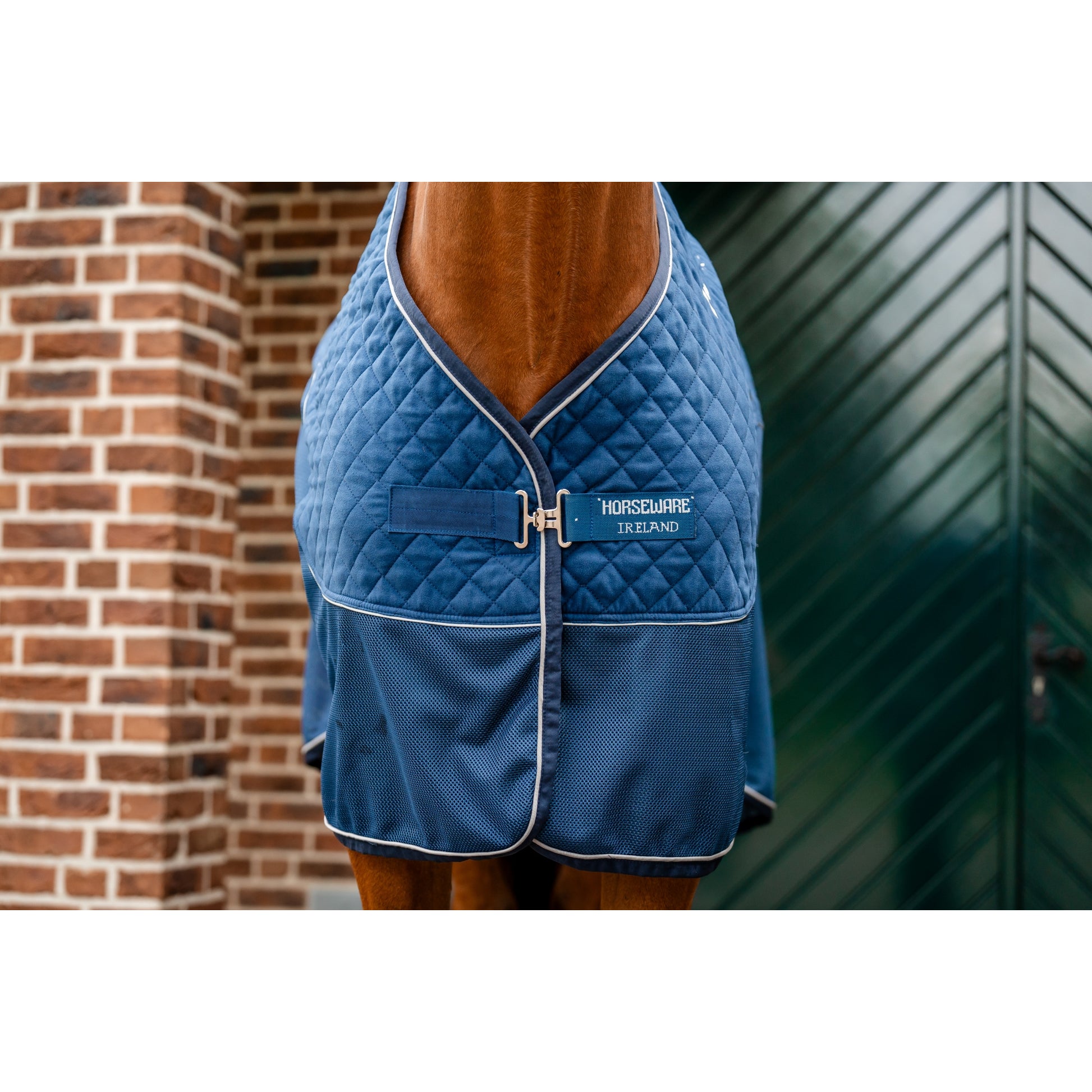 Horseware Signature Travel Cooler