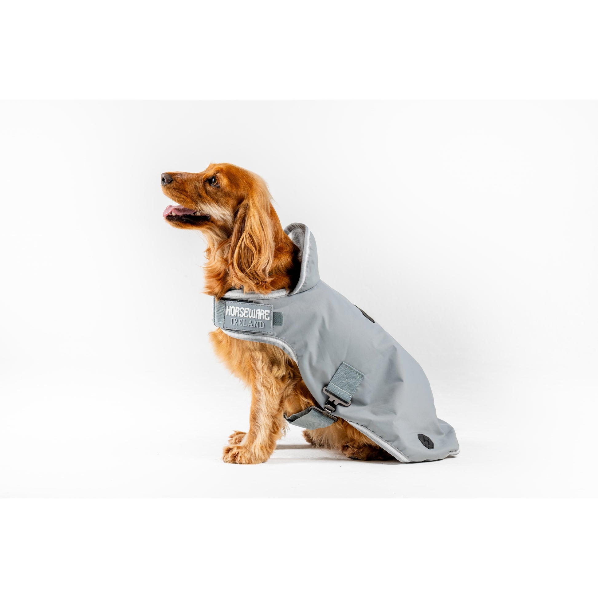 Horseware Newmarket Dog Coat