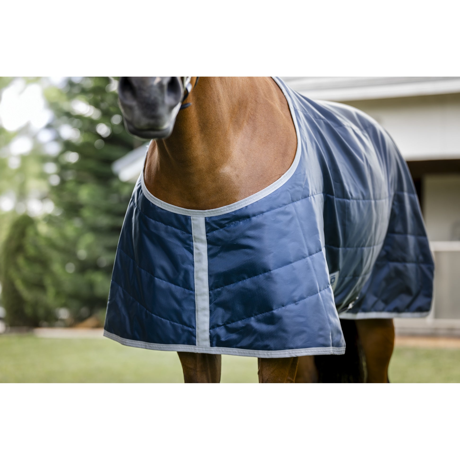 Horseware Ionic Therapy Quarter Horse Stable 50g