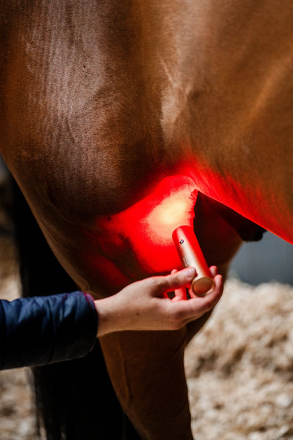 Horseware LED Red Light Therapy Wand