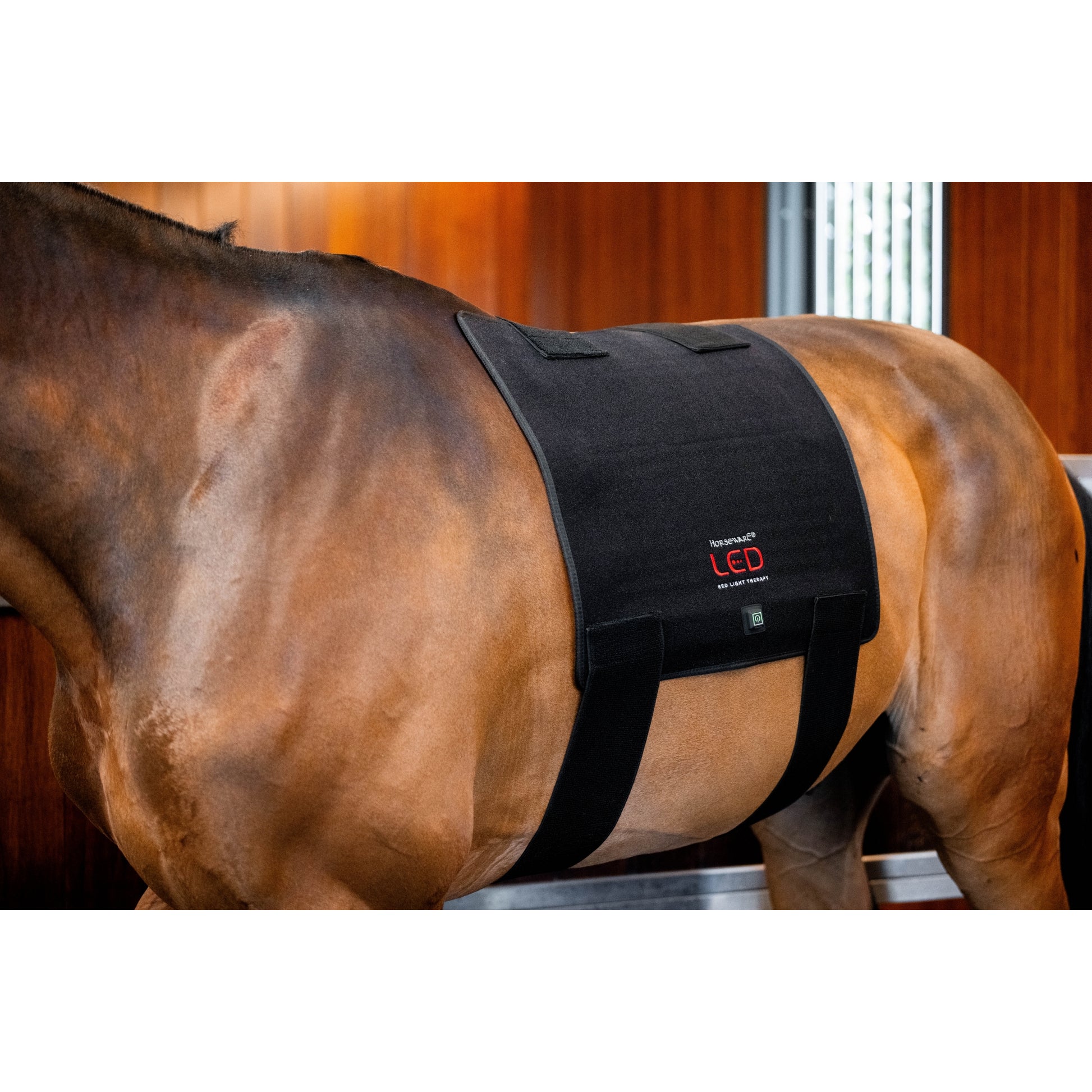 Horseware LED Red Light Therapy Pad