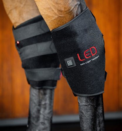 Horseware LED Red Light Therapy Hock Boot
