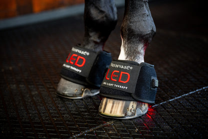 Horseware LED Red Light Therapy Mini Wrap