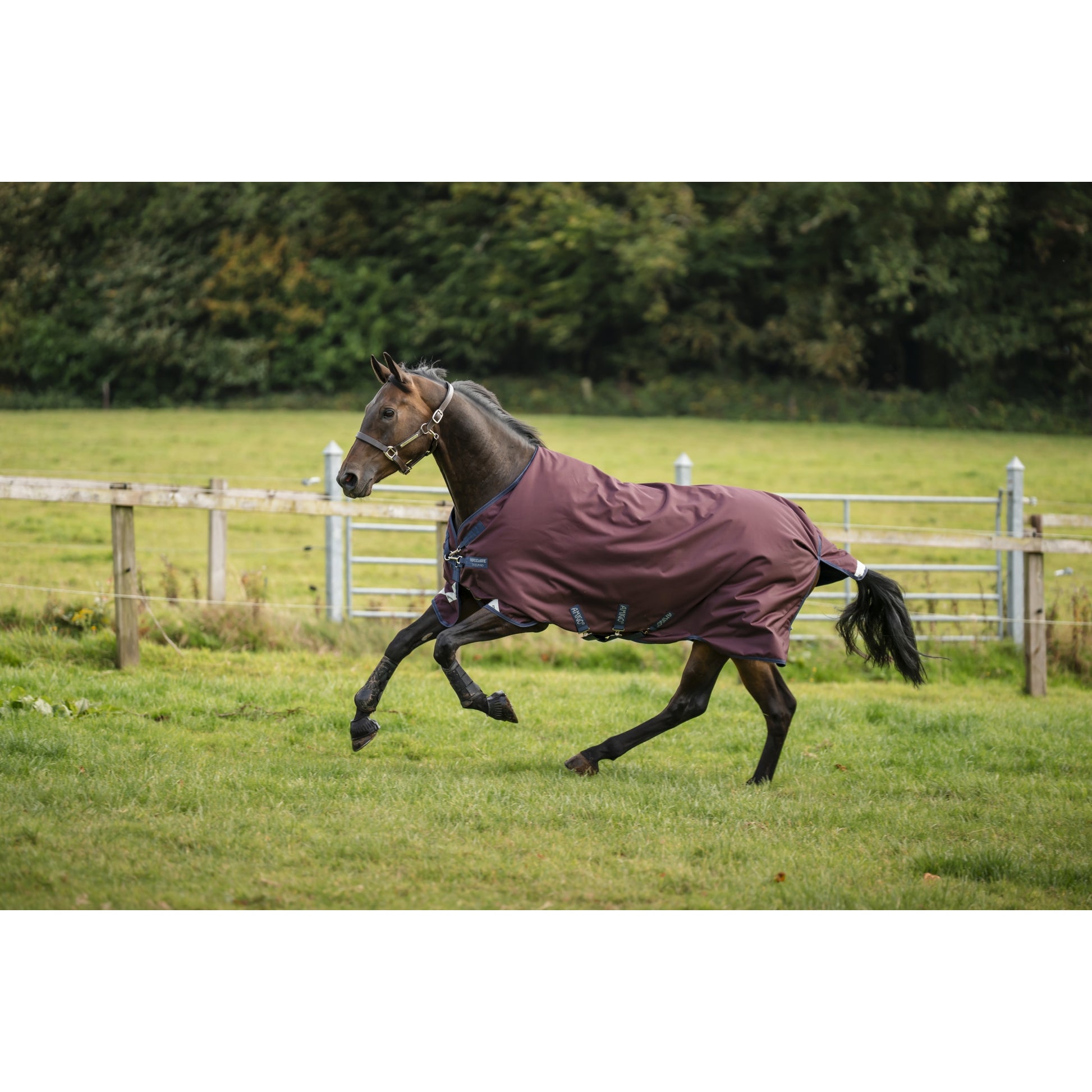 Amigo 1200D Turnout 0g