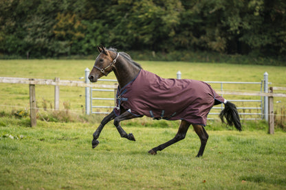 Amigo 1200D Turnout 0g