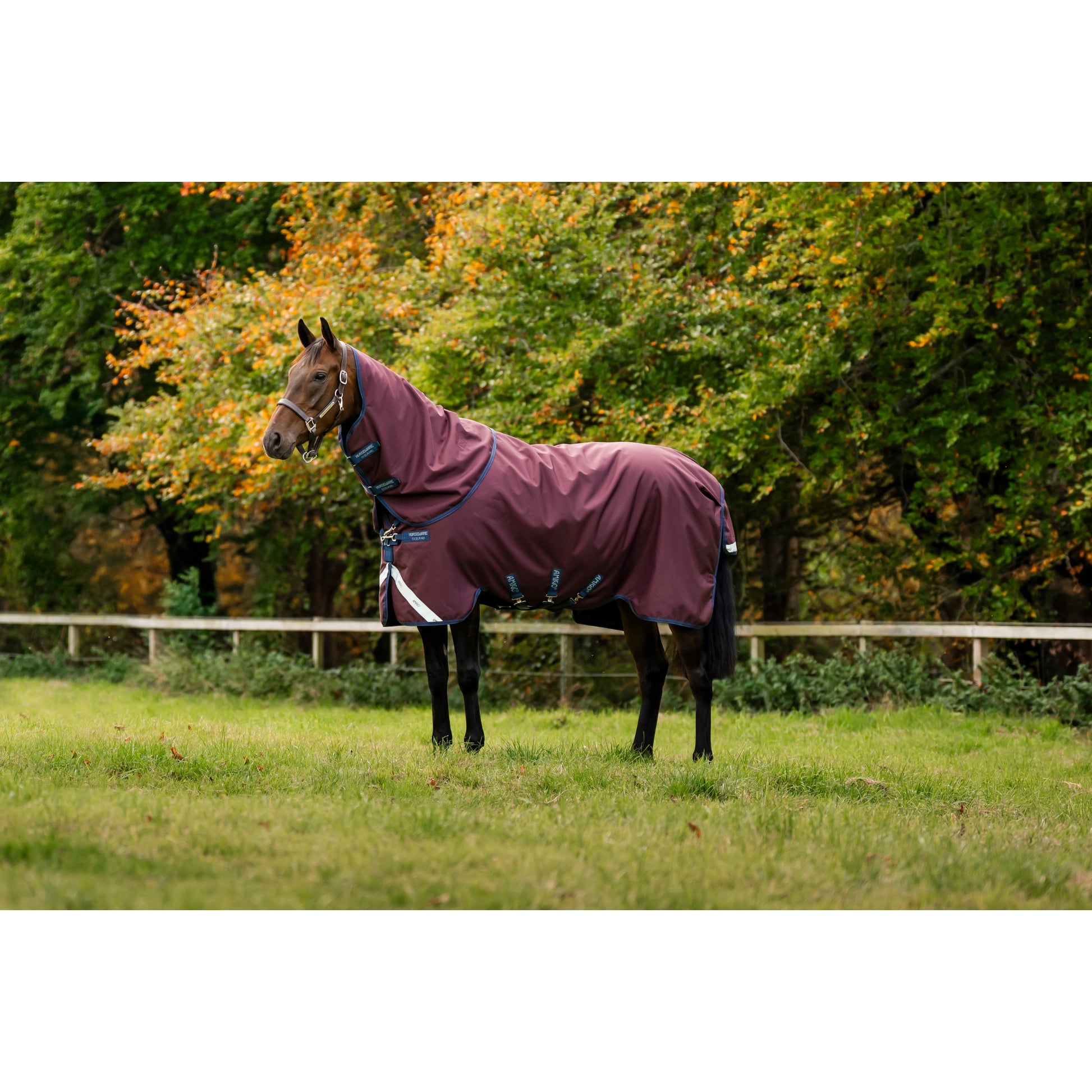 Amigo Bravo 12 Plus Turnout (400g Heavy)