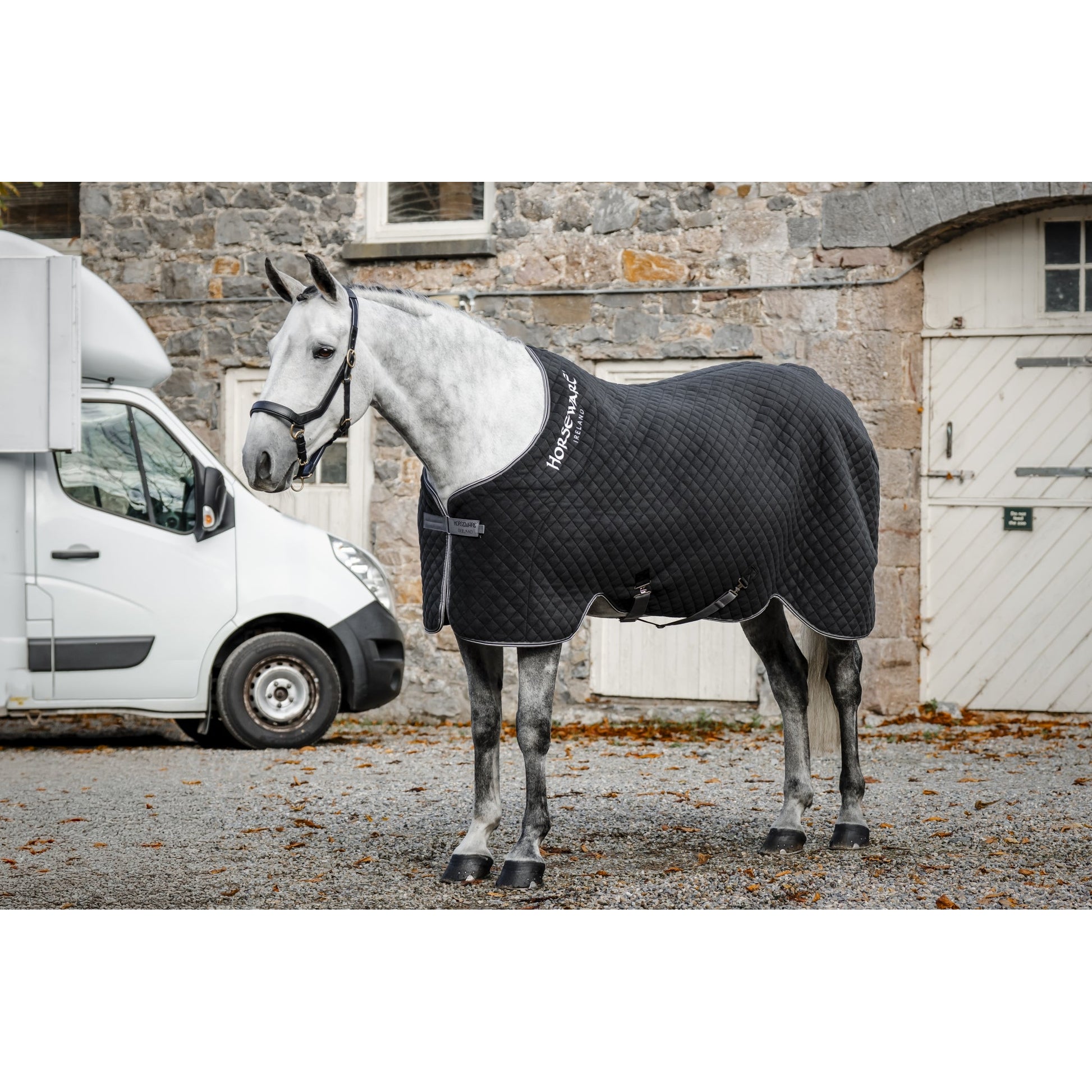 Horseware Thermal Cooler