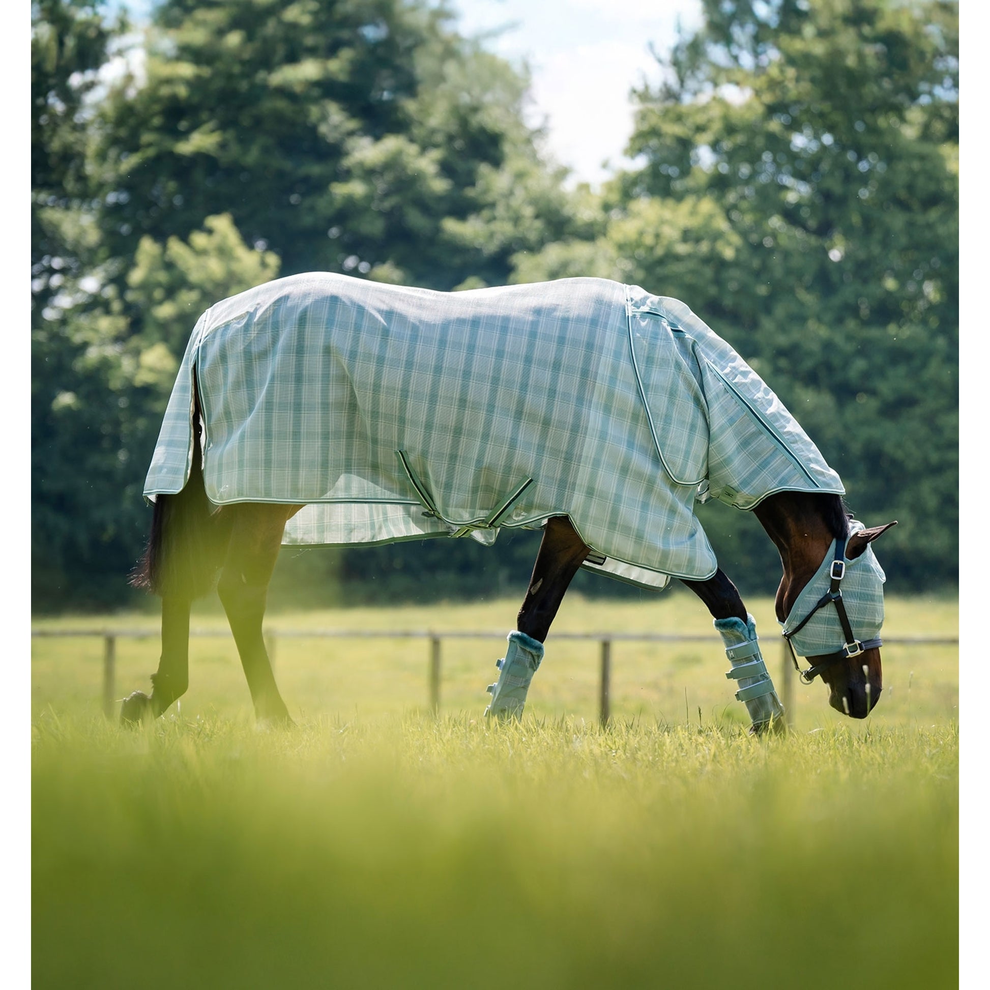 Horseware Newmarket Plus Fly Sheet
