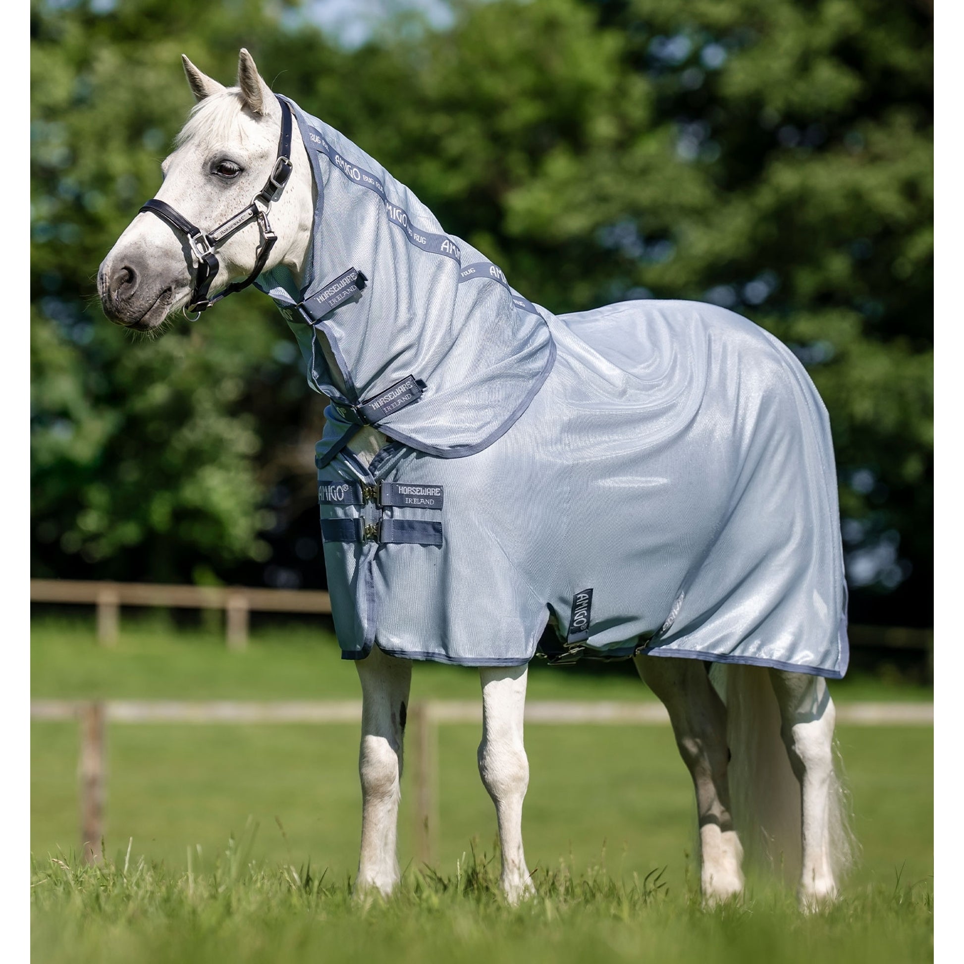 Amigo Bug Rug Plus Pony Fly Sheet