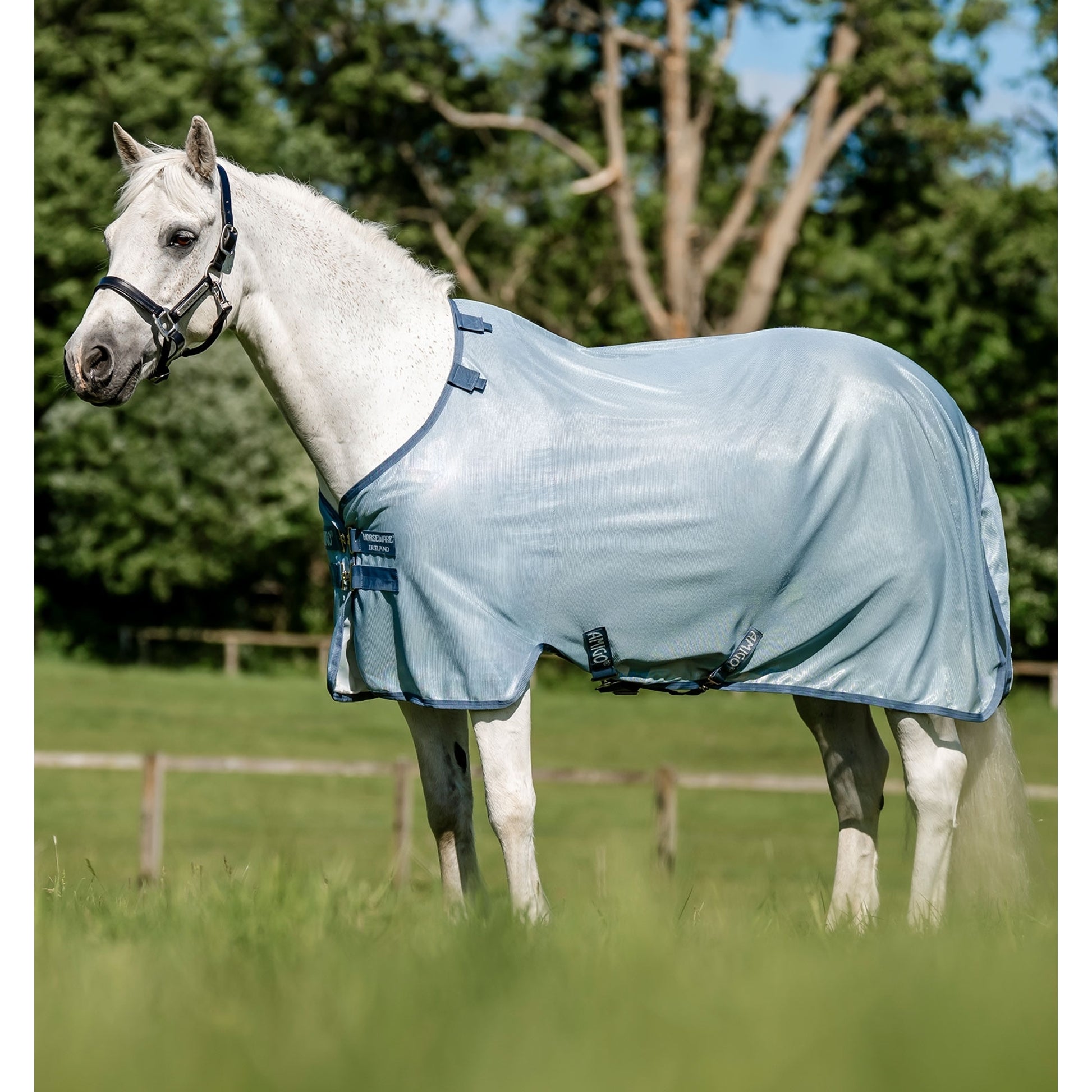 Amigo Bug Rug Pony Fly Sheet