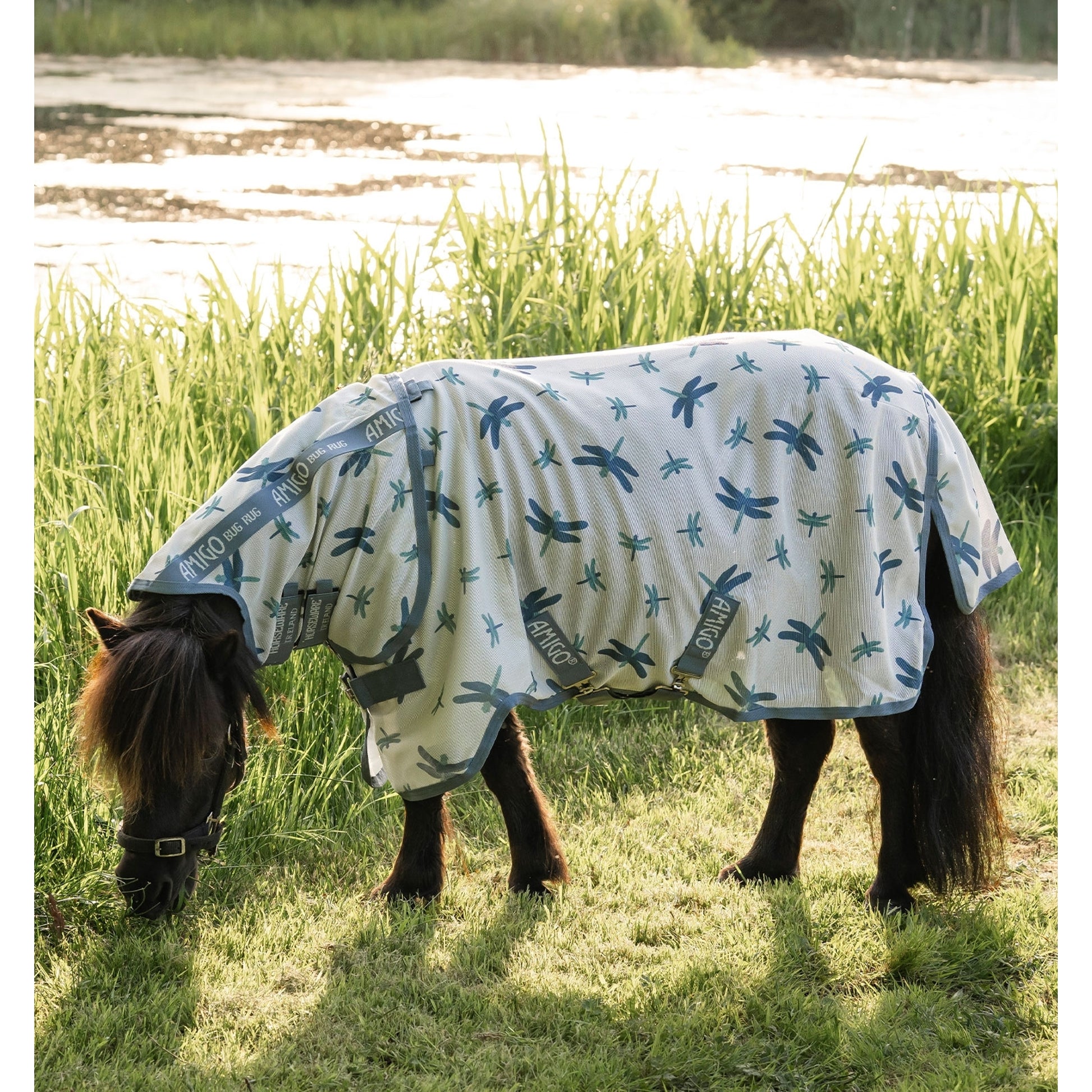 Amigo Bug Rug Plus Petite Fly Sheet