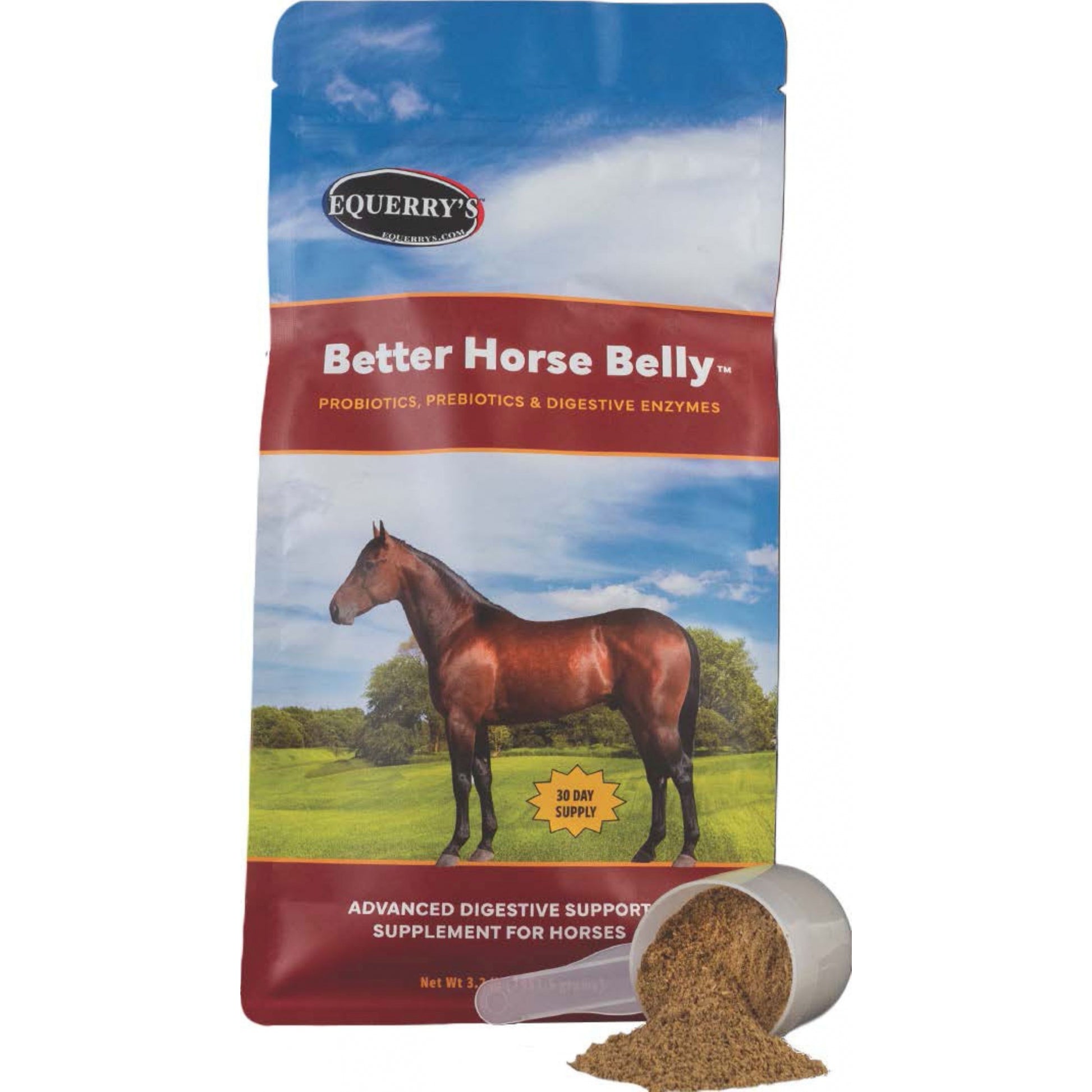 AHS Equerry's Better Horse Belly