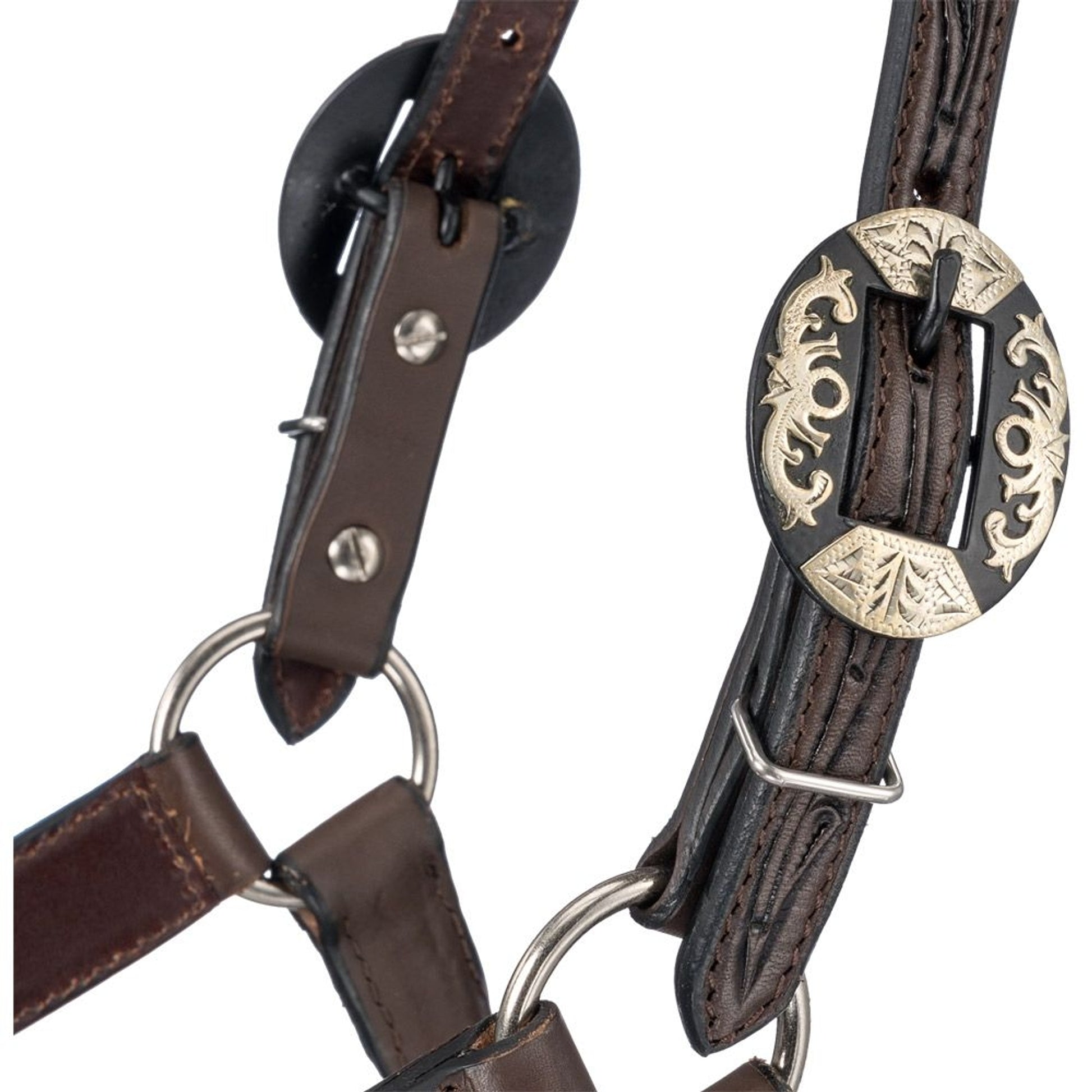 Silver Royal Ranch Halter