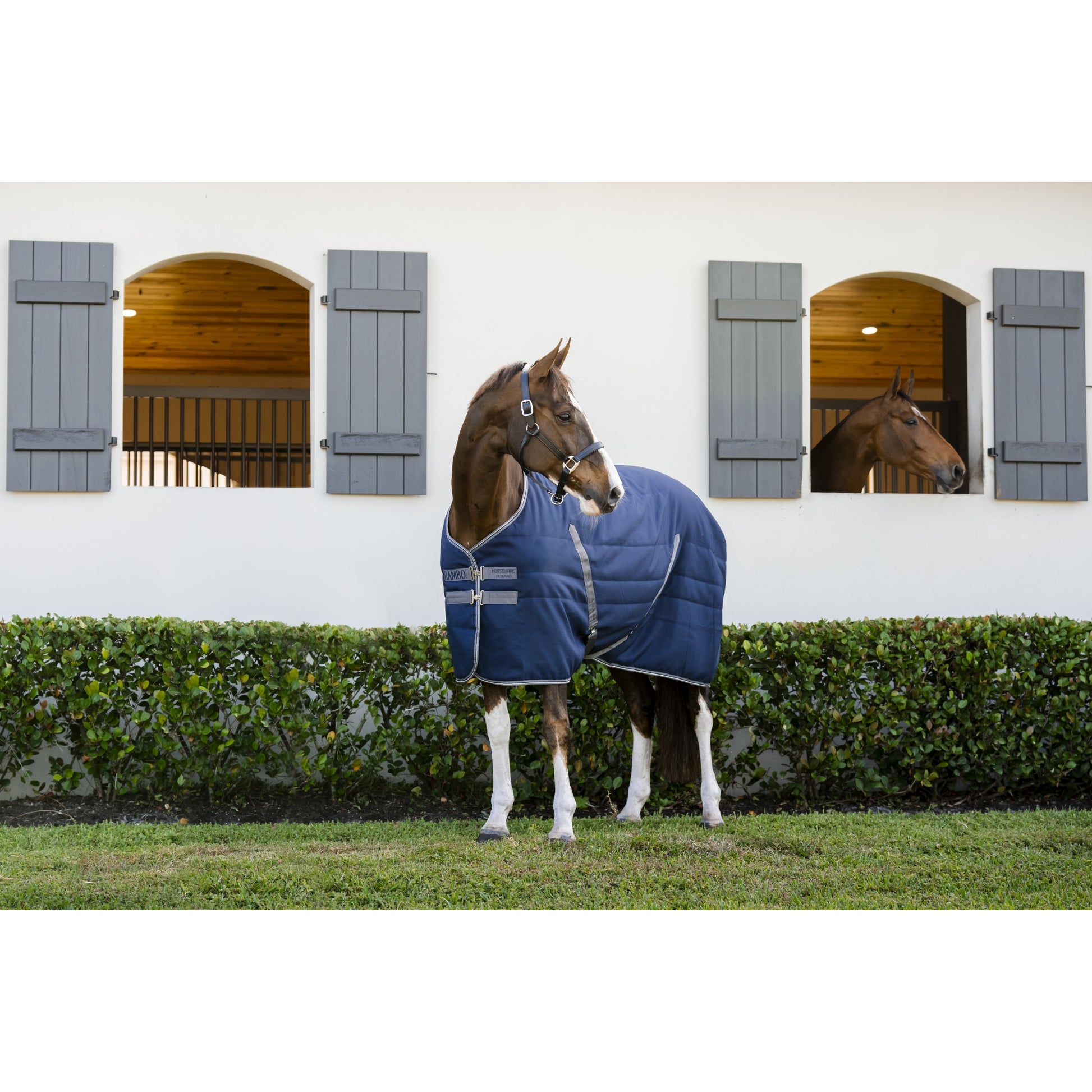 Rambo Stable Blanket (100g Lite)