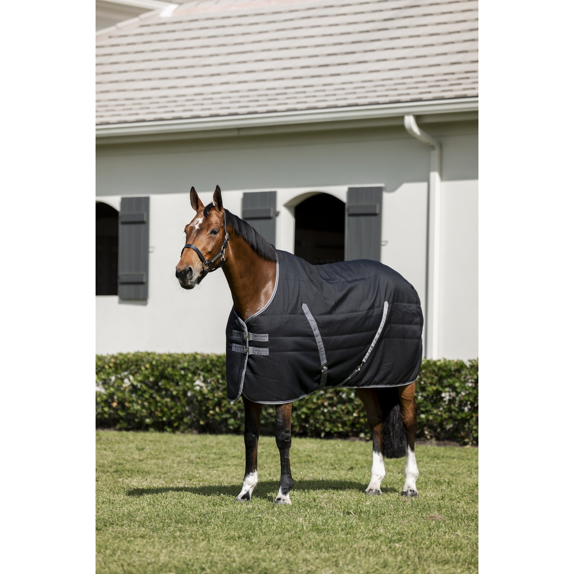 Rambo Stable Blanket (100g Lite)