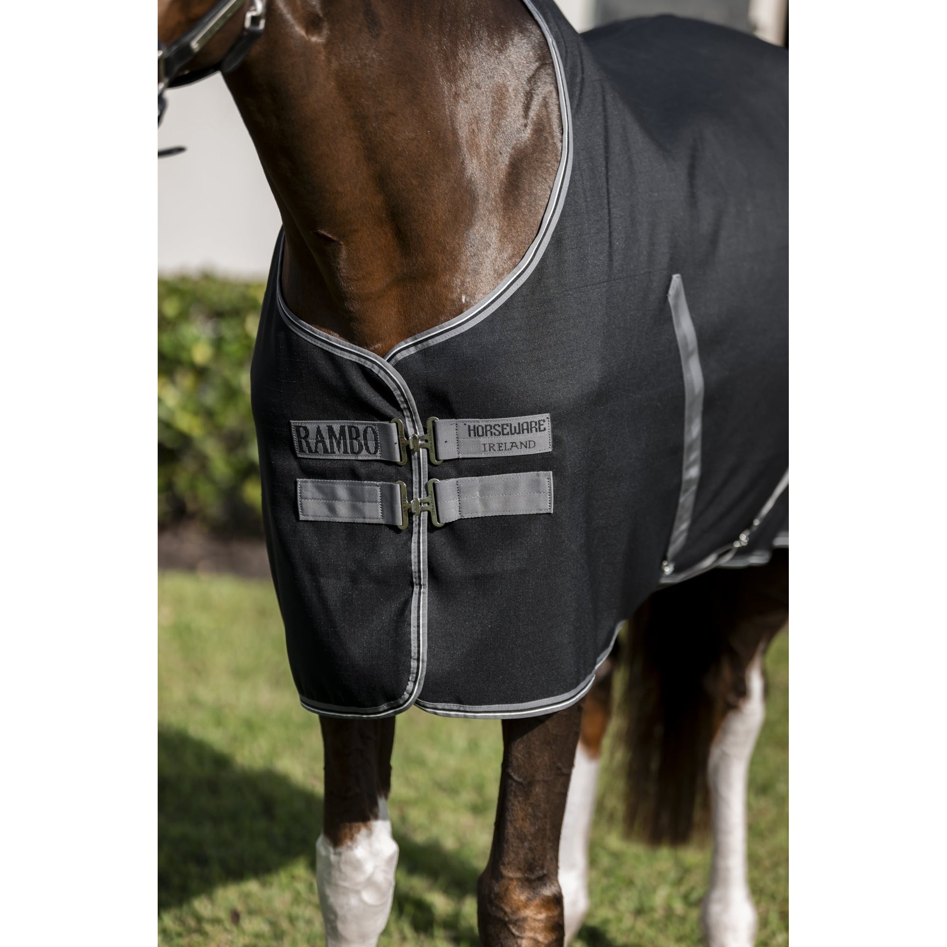 Rambo Stable Sheet with Microfiber Lining (0g Light)