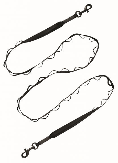 Terrain D.O.G. Venture Dual Snap Dog Leash