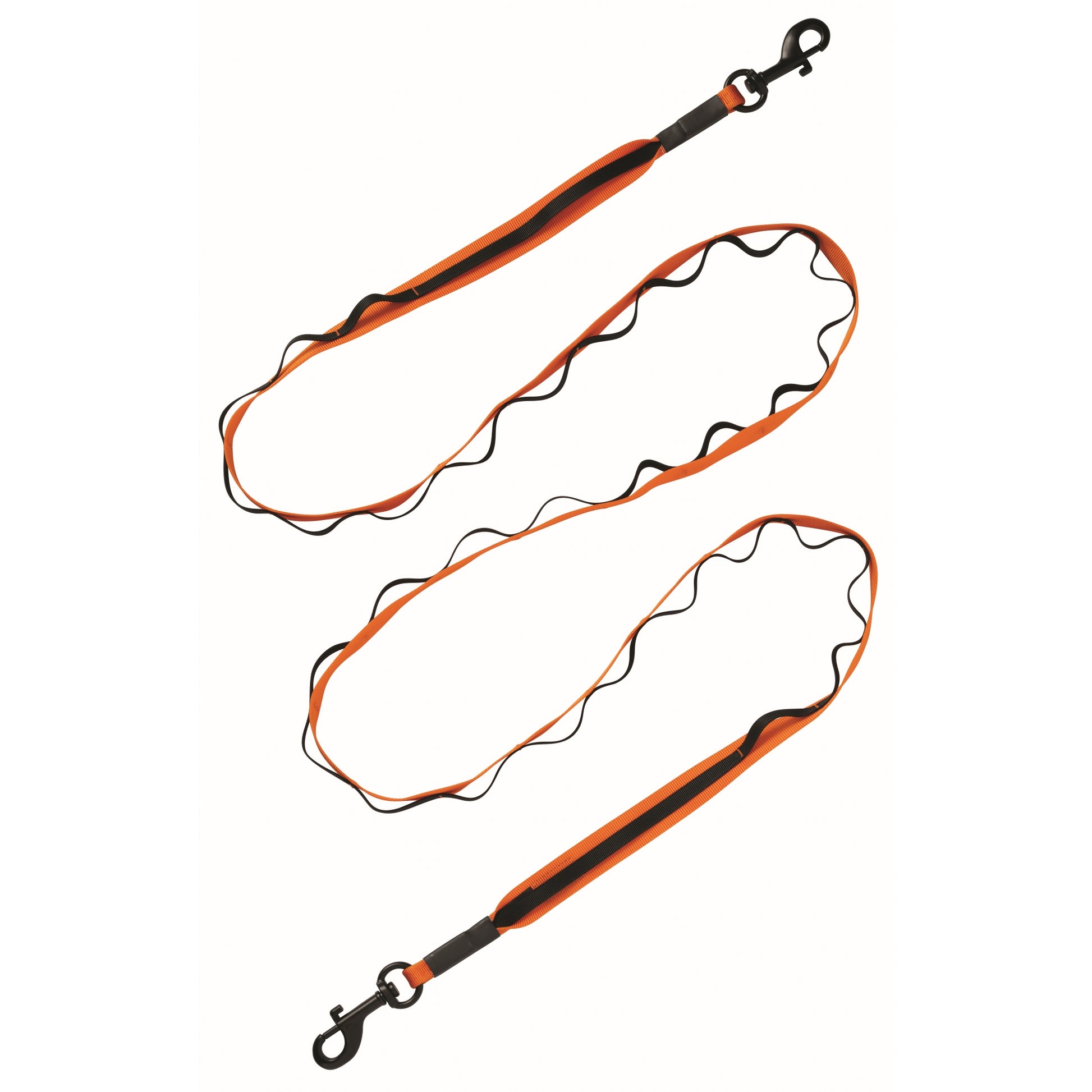 Terrain D.O.G. Venture Dual Snap Dog Leash
