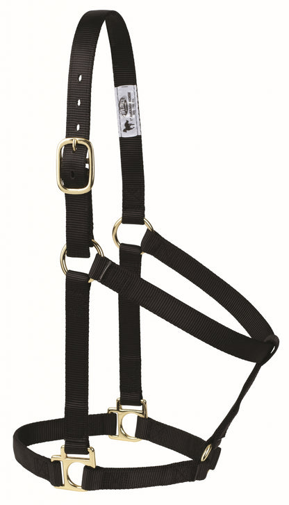 Weaver Non-Adjustable Poly Horse Halter