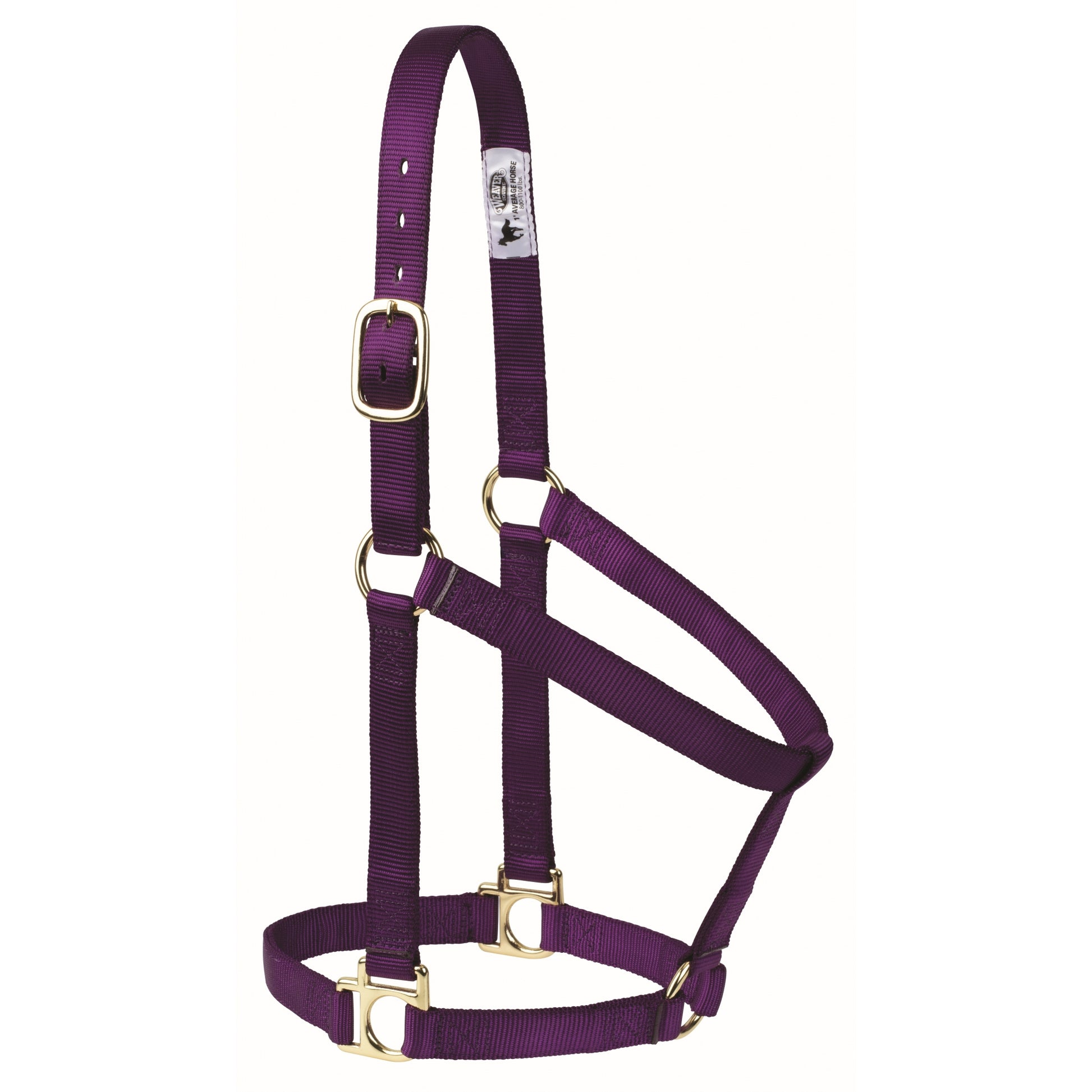 Weaver Non-Adjustable Poly Horse Halter