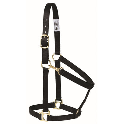 Weaver Non-Adjustable Poly Horse Halter with Throat Snap