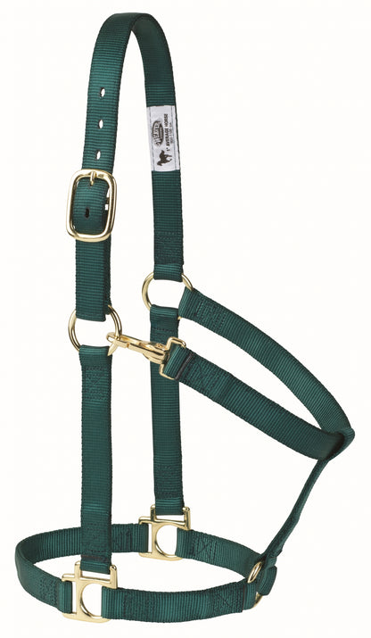 Weaver Non-Adjustable Poly Horse Halter with Throat Snap