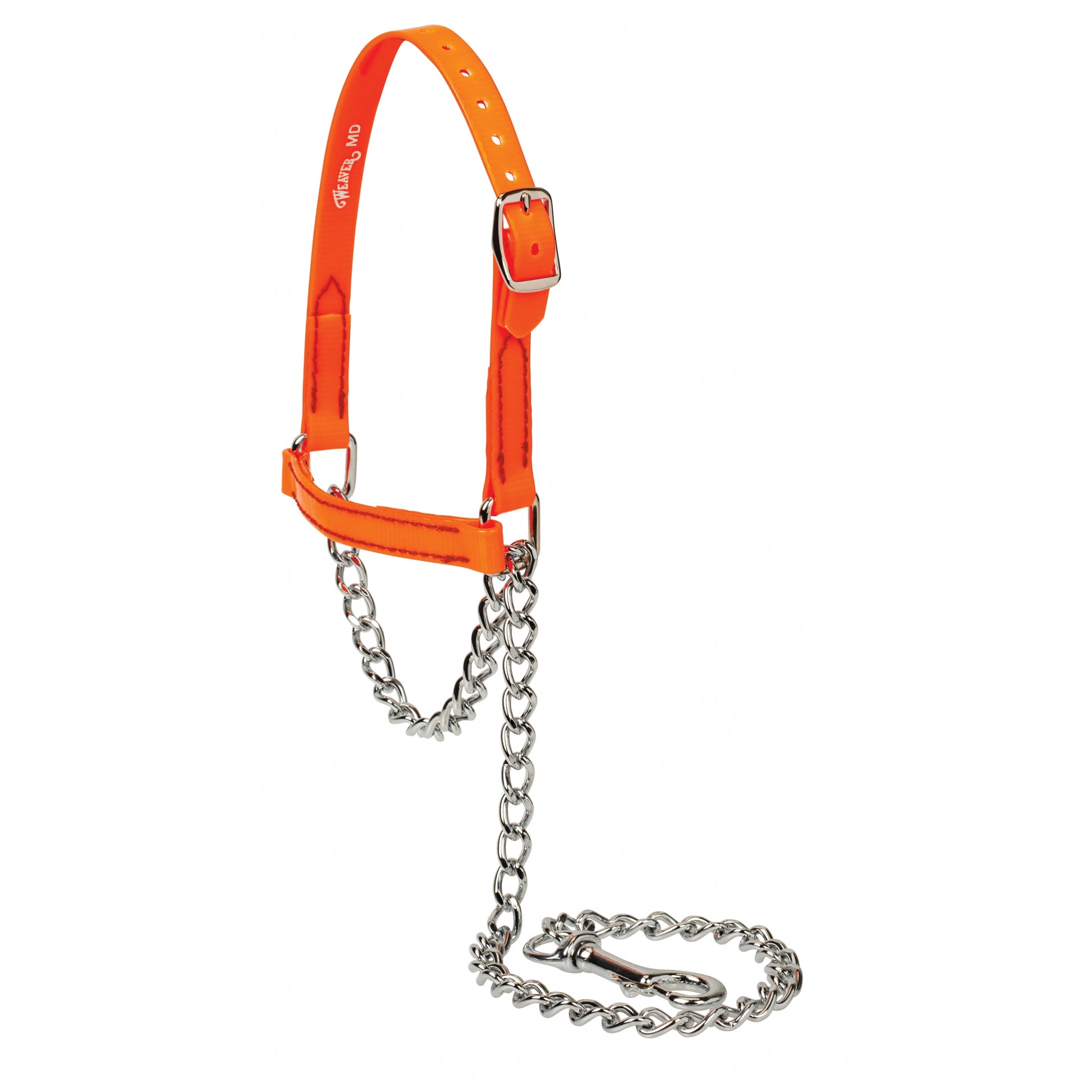Weaver Brahma Webb Sheep and Goat Halter