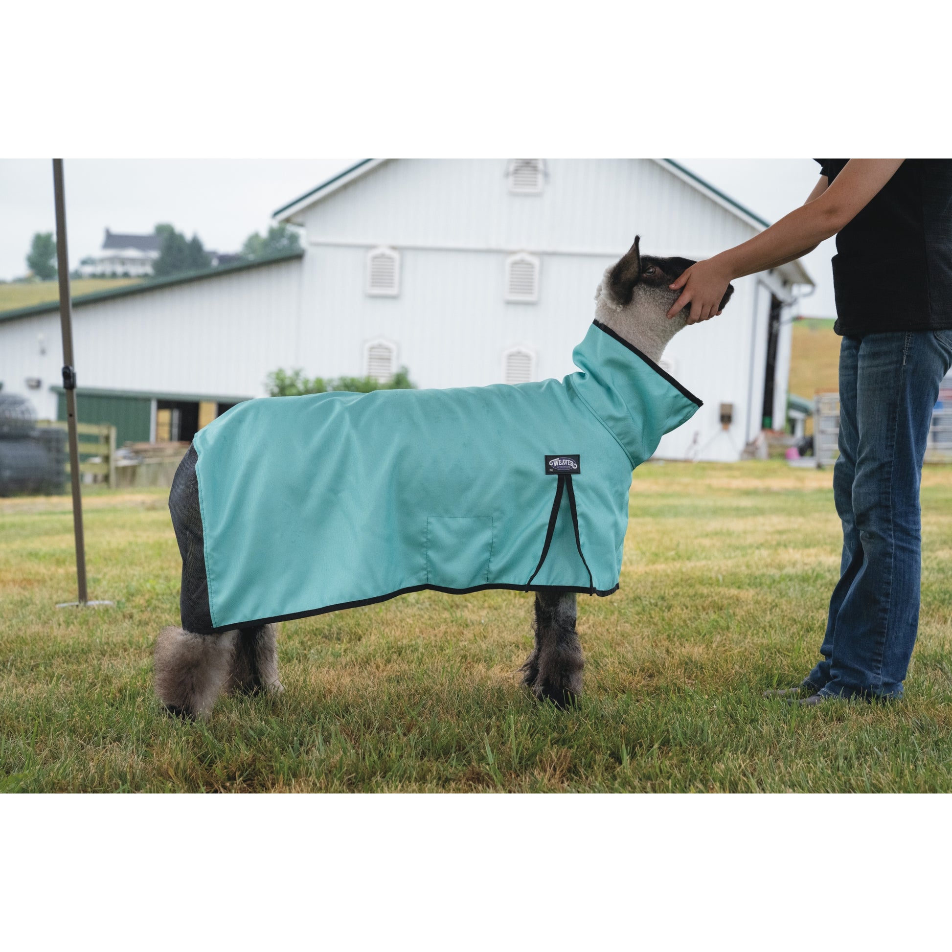 Weaver Nylon Sheep Blanket with Mesh Butt