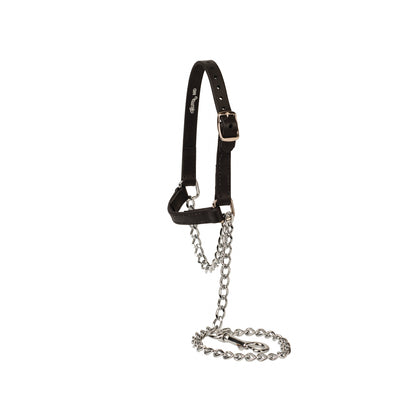 Weaver Sheep and Goat Brahma Webb Halter