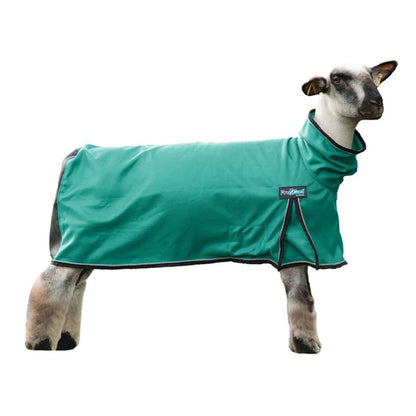 Weaver ProCool Sheep Blanket with Reflective Piping