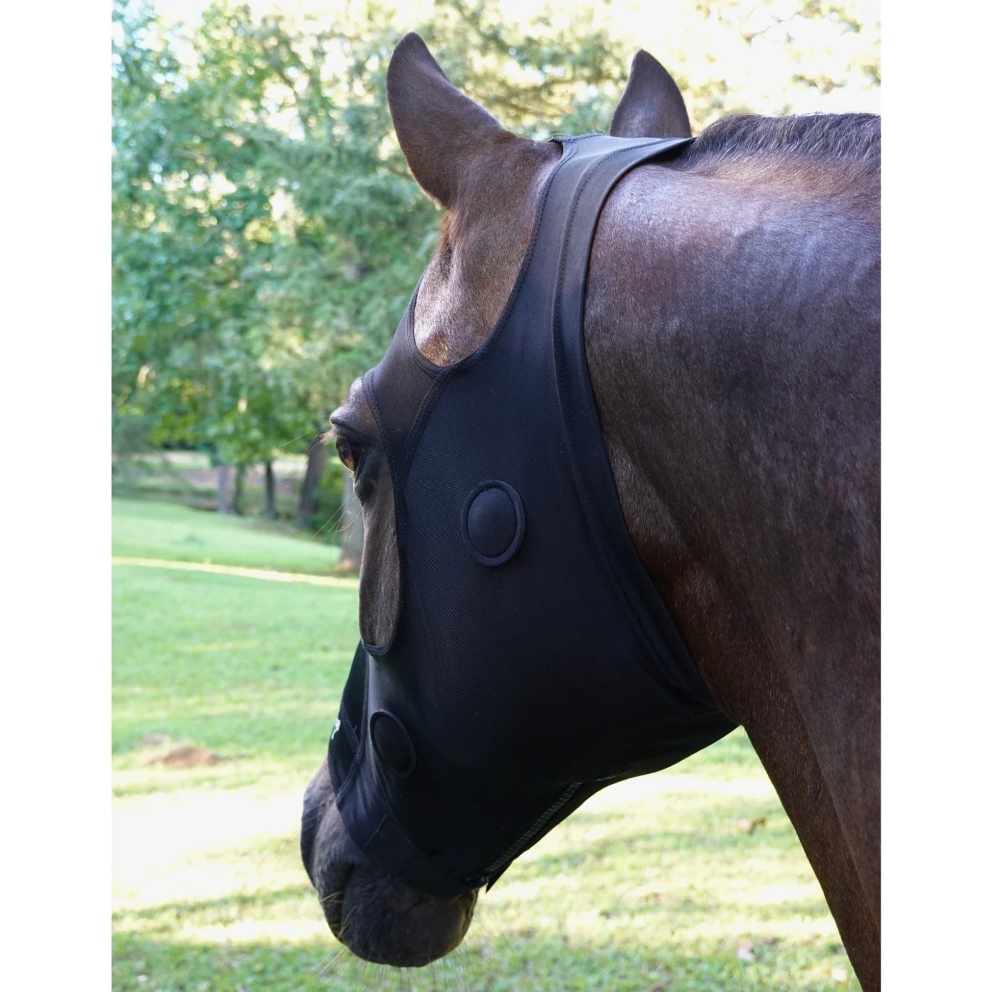 BeneFab Rejuvenate SmartMask