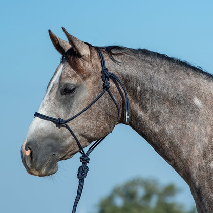 Classic Equine Rope Halter and 9 Foot Lead Rope