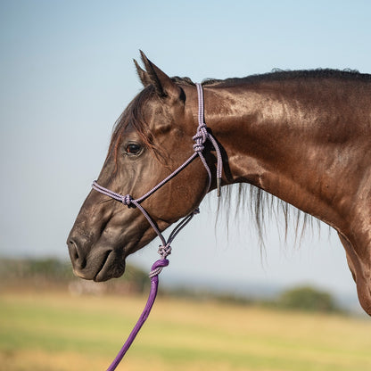 Classic Equine Rope Halter and 9 Foot Lead Rope