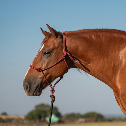 Classic Equine Rope Halter and 9 Foot Lead Rope
