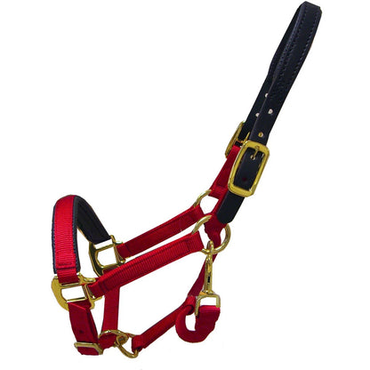 Intrepid Premium Nylon Breakaway Halter with Padded Crown/Nose