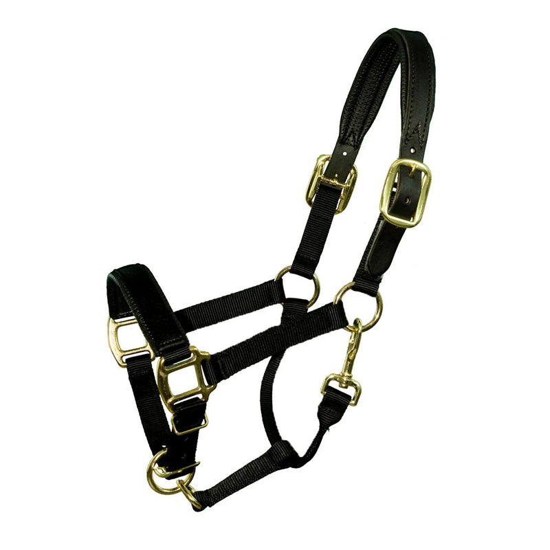 Intrepid Premium Nylon Breakaway Halter with Padded Crown/Nose