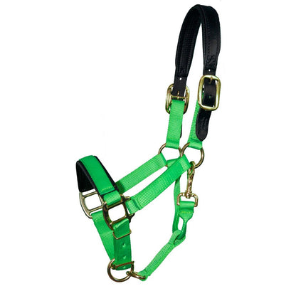 Intrepid Premium Nylon Breakaway Halter with Padded Crown/Nose