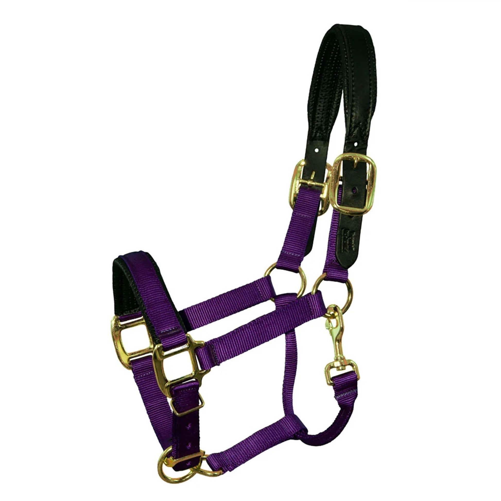 Intrepid Premium Nylon Breakaway Halter with Padded Crown/Nose