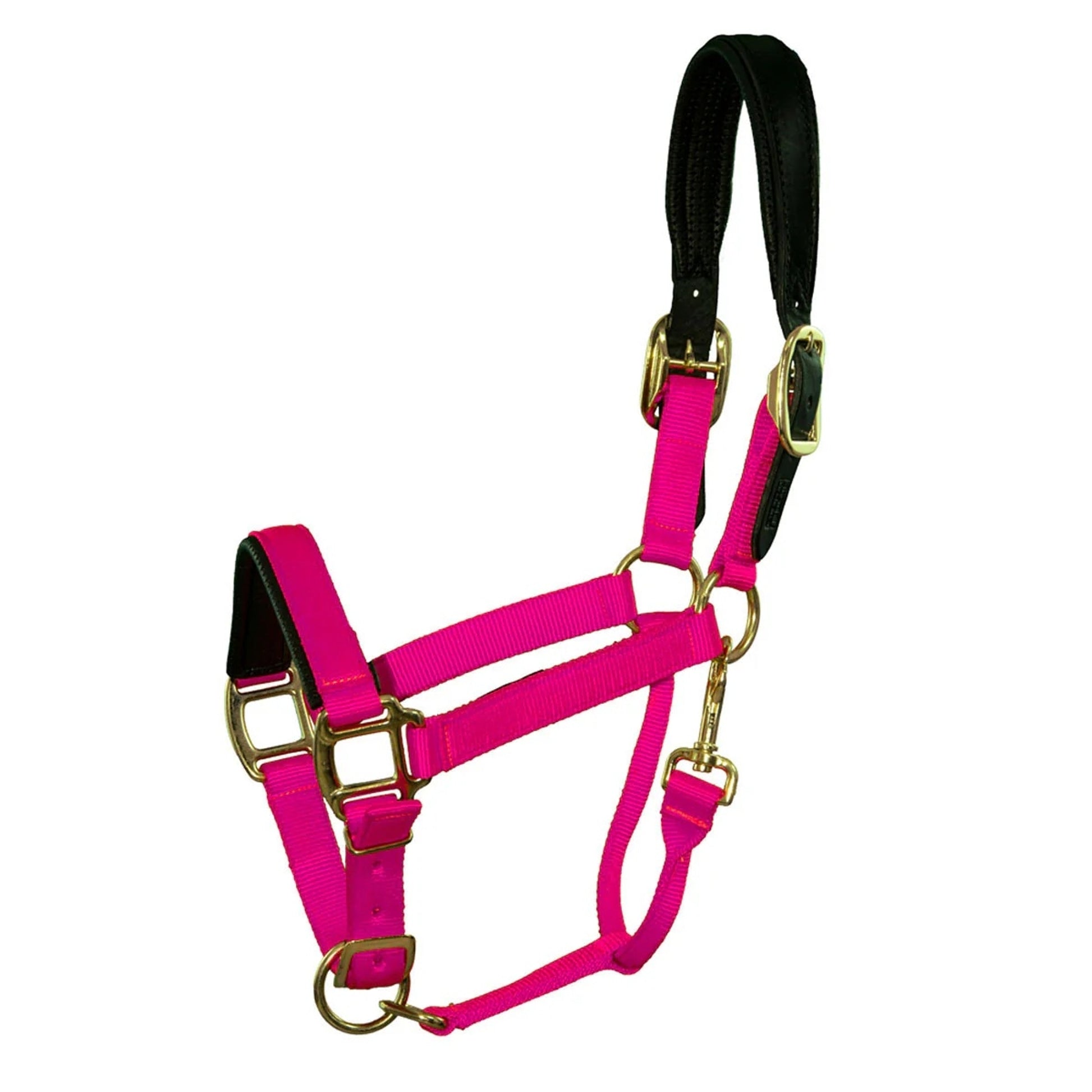 Intrepid Premium Nylon Breakaway Halter with Padded Crown/Nose
