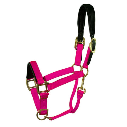 Intrepid Premium Nylon Breakaway Halter with Padded Crown/Nose
