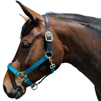 Intrepid Premium Nylon Breakaway Halter with Padded Crown/Nose