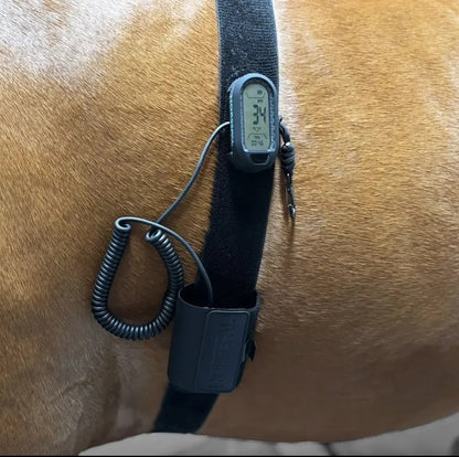 Horsepal Training Belt Kit