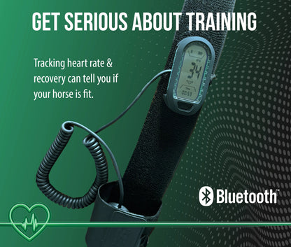 Horsepal Training Belt Kit