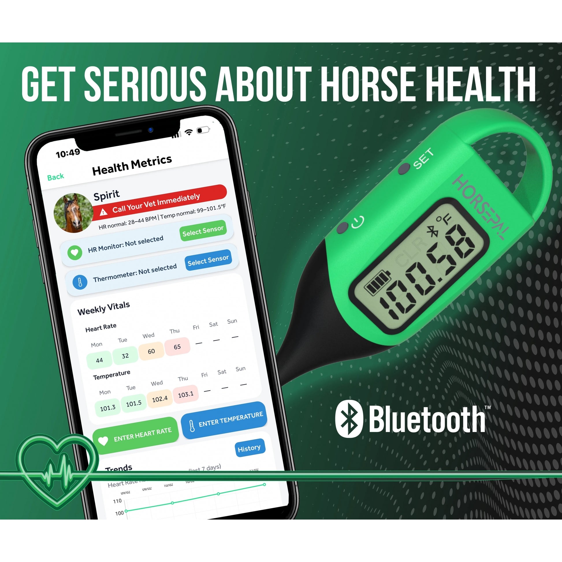 Horsepal Thermometer