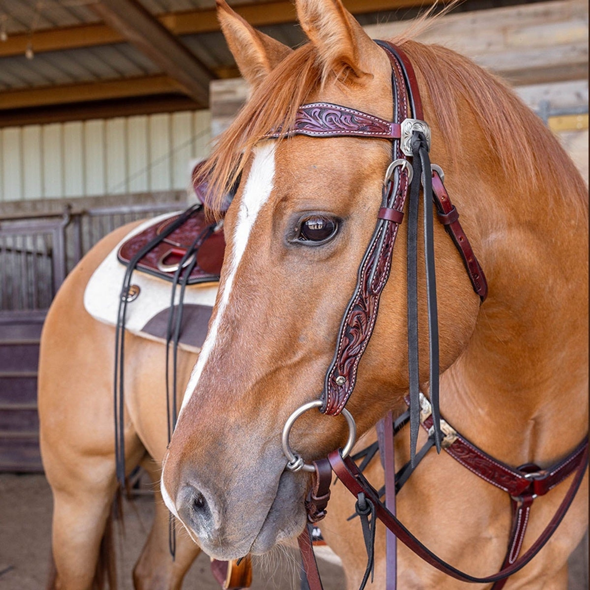 Circle Y Cowtown Kingsley Browband Headstall