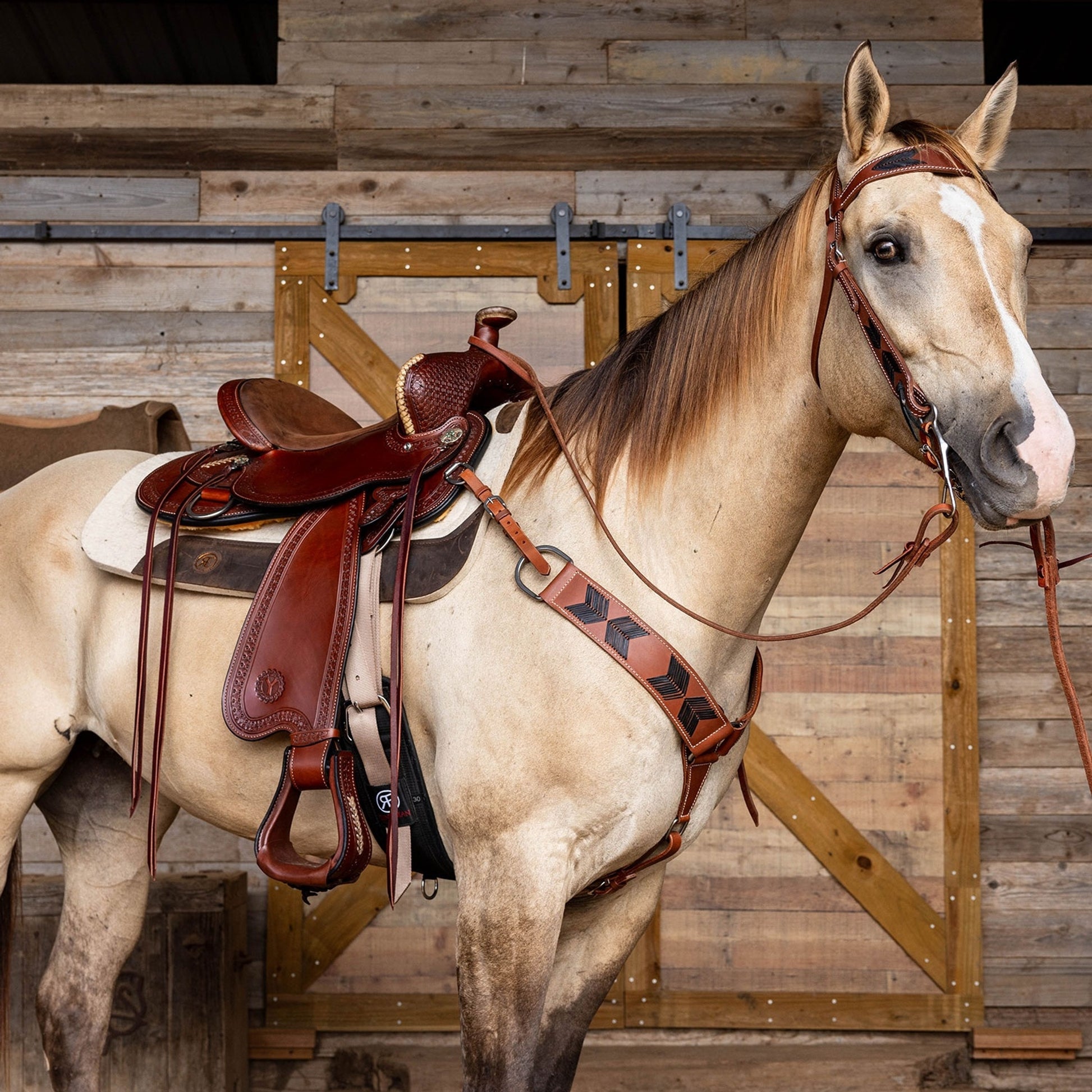 Circle Y River Valley Flex2 Trail Saddle