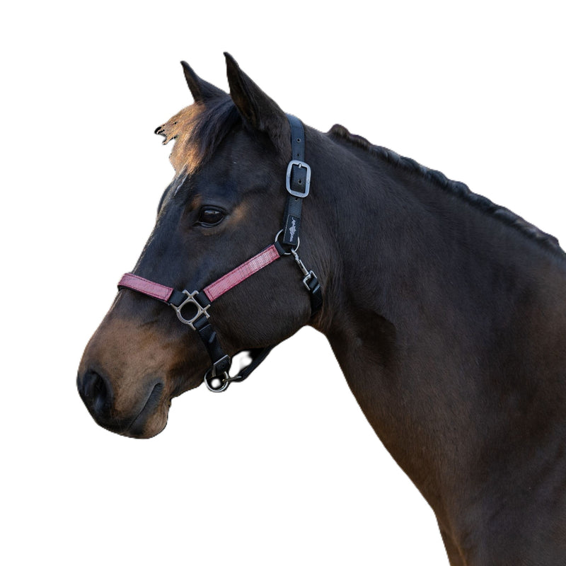 Kensington Reflective Nylon Halter